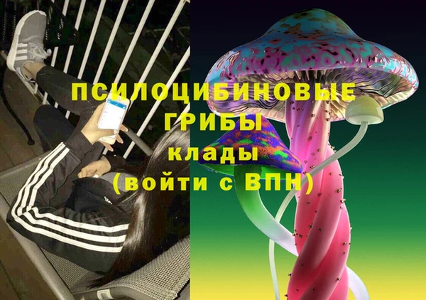 МДПВ Богданович